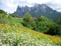 Il Paradiso delle Erbe in Alto Adige