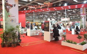 IT&CMA2012indiapad